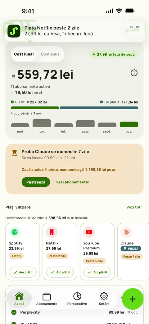 Un memento Subby pe iPhone: Netflix se reînnoiește în 2 zile, plata pe Visa, lunar